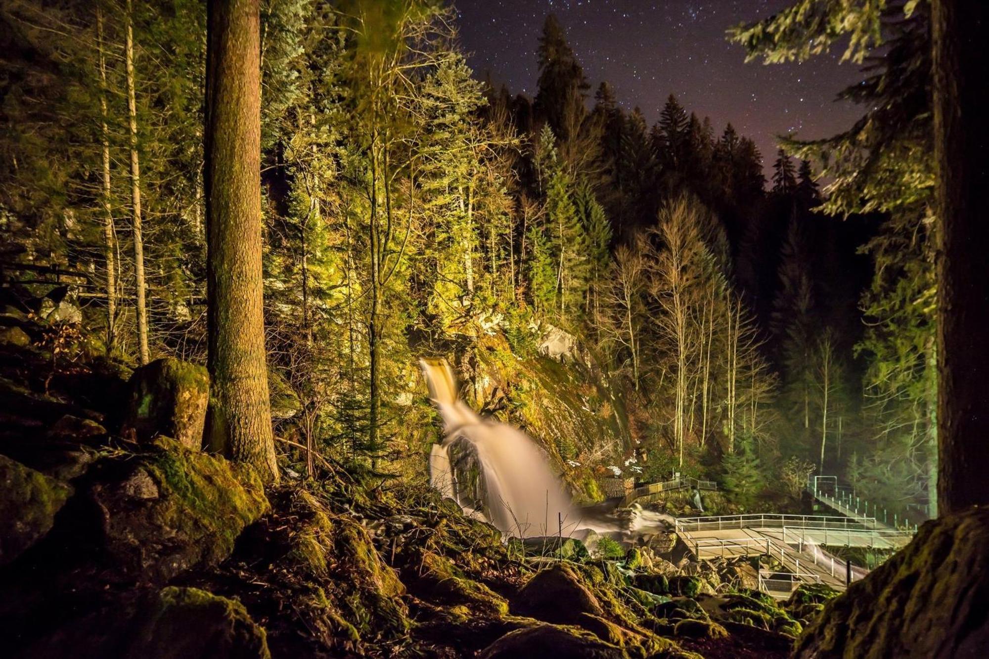 Ferienhaus Am Roesslewald بريتناو المظهر الخارجي الصورة